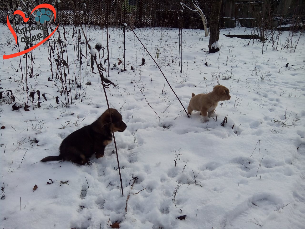 image-0-02-05-4d9701443ffd15b4d81bd632d7ee3b8aeaa615cf3db3201552d2ca8c346e7d55-v