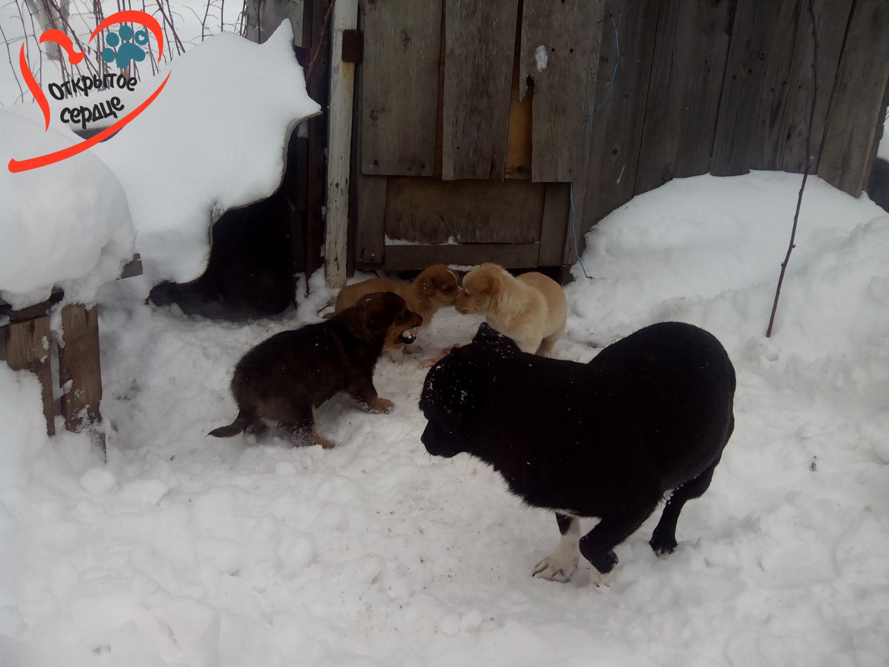image-0-02-05-6b428a512204b91cd20072ab168f49a9a270a43d6092d1ef3b9bc10c4ff3adc2-v