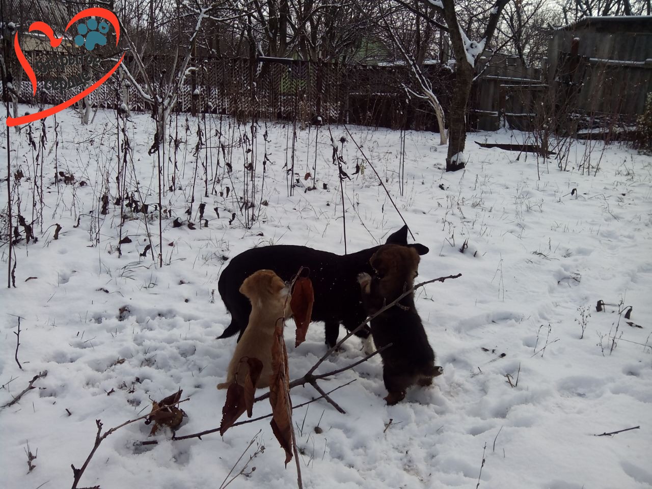 image-0-02-05-c73c387caeca3836578529be4a6b9d570acf9a2b12c944575a004c953fb0e26e-v