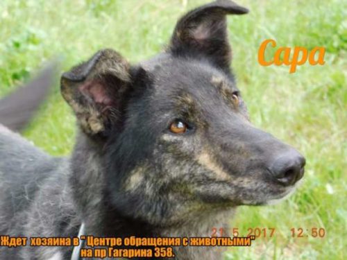 496545570_2_644x461_umnye-i-krasivye-v-horoshie-ruki-fotografii[1]