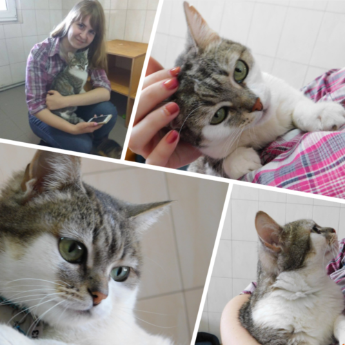 MyCollages