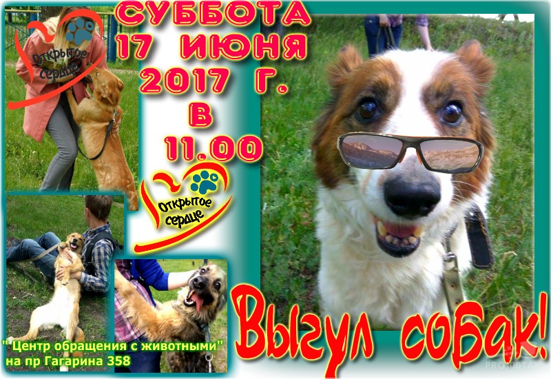 pro100tak-3_5_2017-22_3_7 222