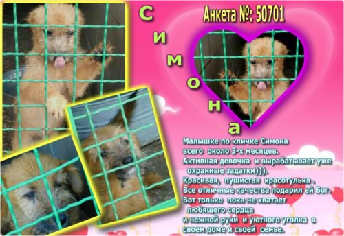 20525611_1714842198817130_7017416153061811647_n[1]