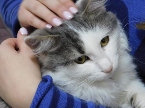 24059540_1753794354921914_4964078003727097882_o[1]
