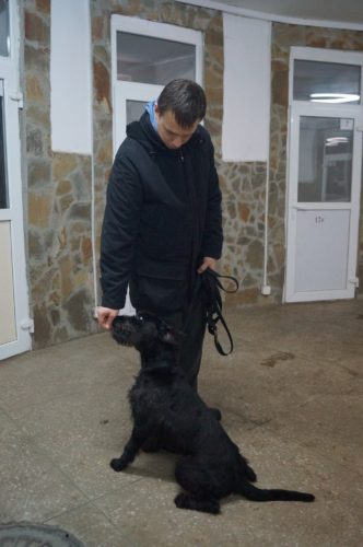 24173100_1755630994738250_773854258108909698_o[1]