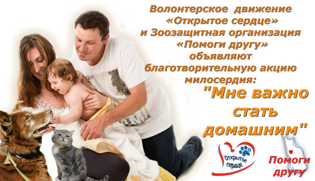 орегинал