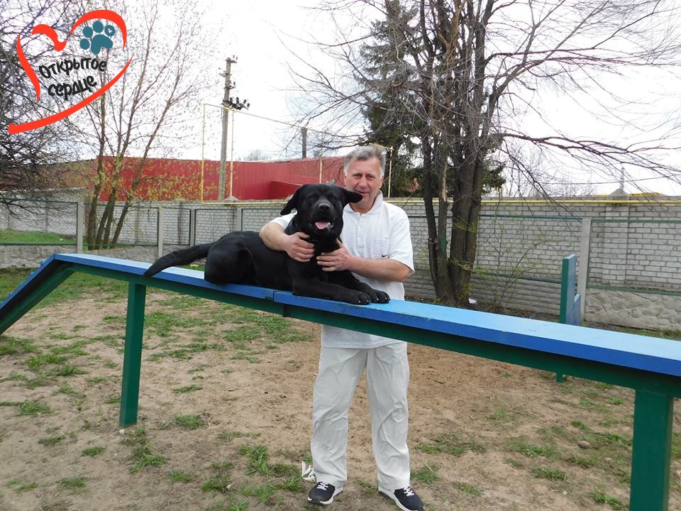 37377548_103758587219021_5178016403168428032_n
