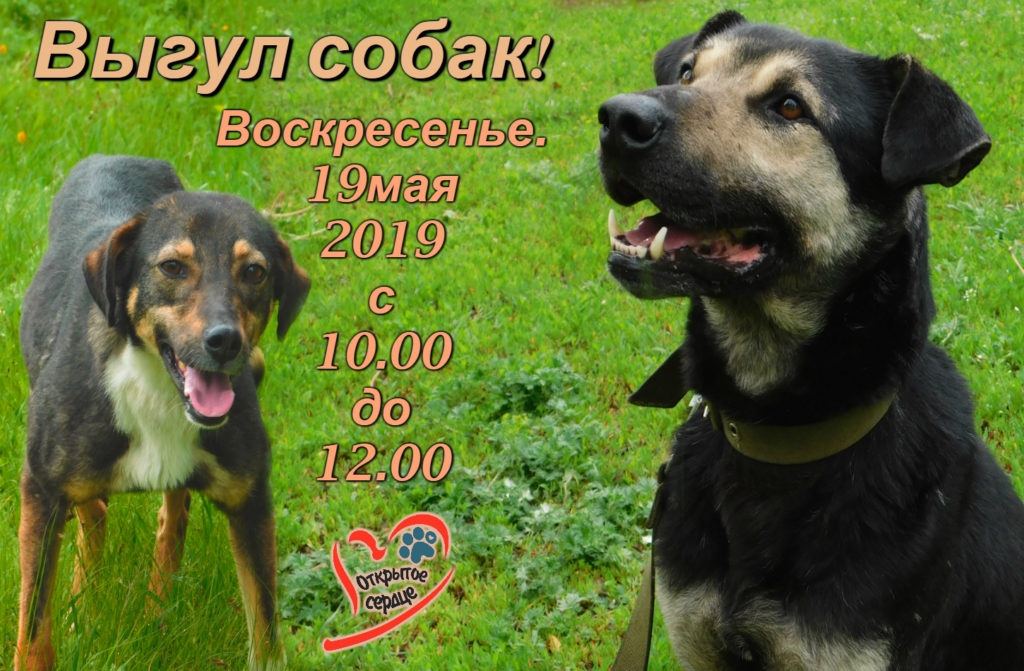 выгул