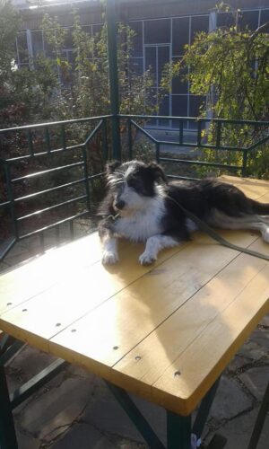 126952253_3648891931837169_3607238408871659743_n[1]