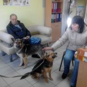 Кейтель и Каштанка едут в новую семью!