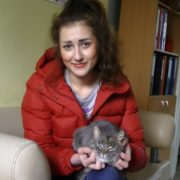 Котик Серый нашел любящую хозяйку!