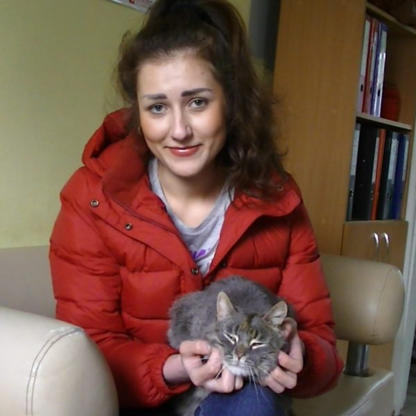 Котик Серый нашел любящую хозяйку!
