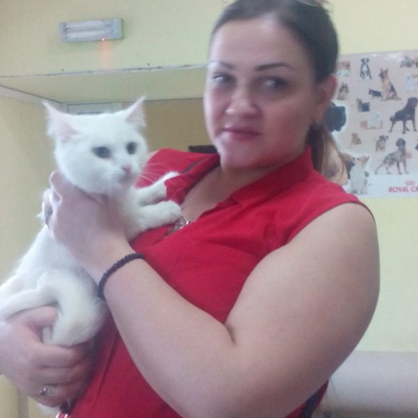 Кошка Снежана и пес Жора нашли хозяев!