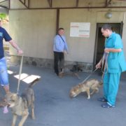 Янош Кадар, Рыбка и Клинт едут к новому хозяину!