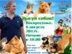 Выгул слюак