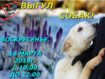 29313326_1726771464049235_4029688224350732288_o[1]