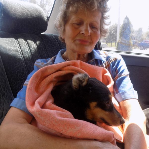 36603009_480927872339491_2649322362897432576_o[1]