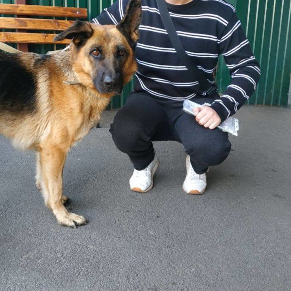 Дана