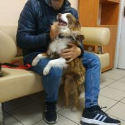 Джокер