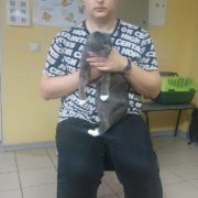 Жасмин