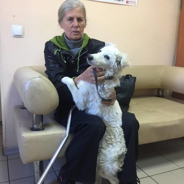 Снежок