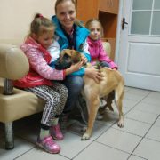 Ушастик