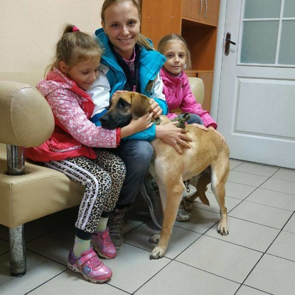 Ушастик