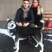 Альма