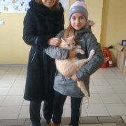 Дизель