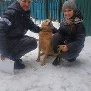 Сенди