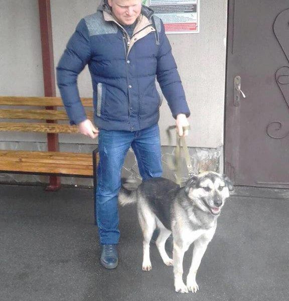 Скуби