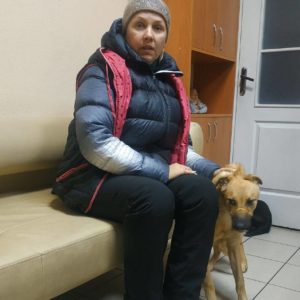Фиби