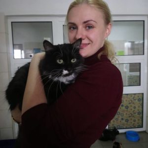 котик