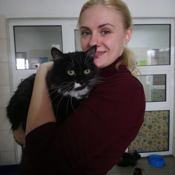 котик