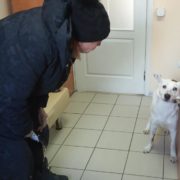 Такер