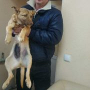 Чак
