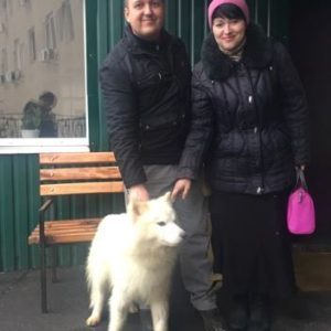 Гост