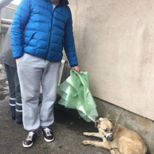 Жасмина