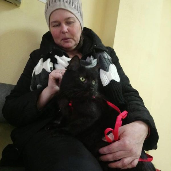 Камилла