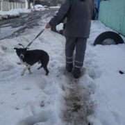 Рони (возможно)