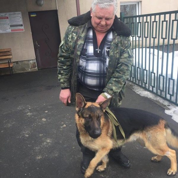 Стинг