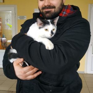 Чижик