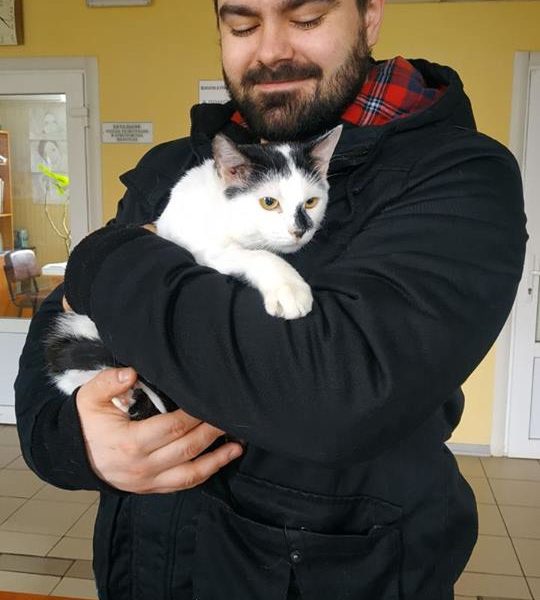 Чижик