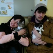 котята