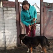 Боб (вроде)
