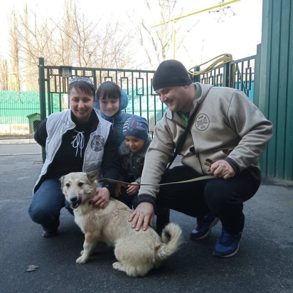 Грейси