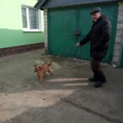 Гудзык
