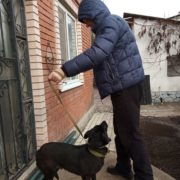 Дакар