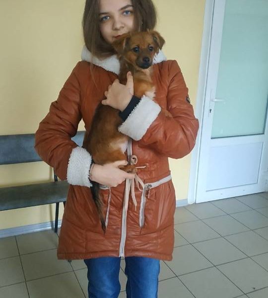 Минни