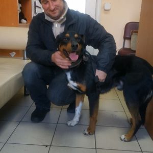 Плюша2